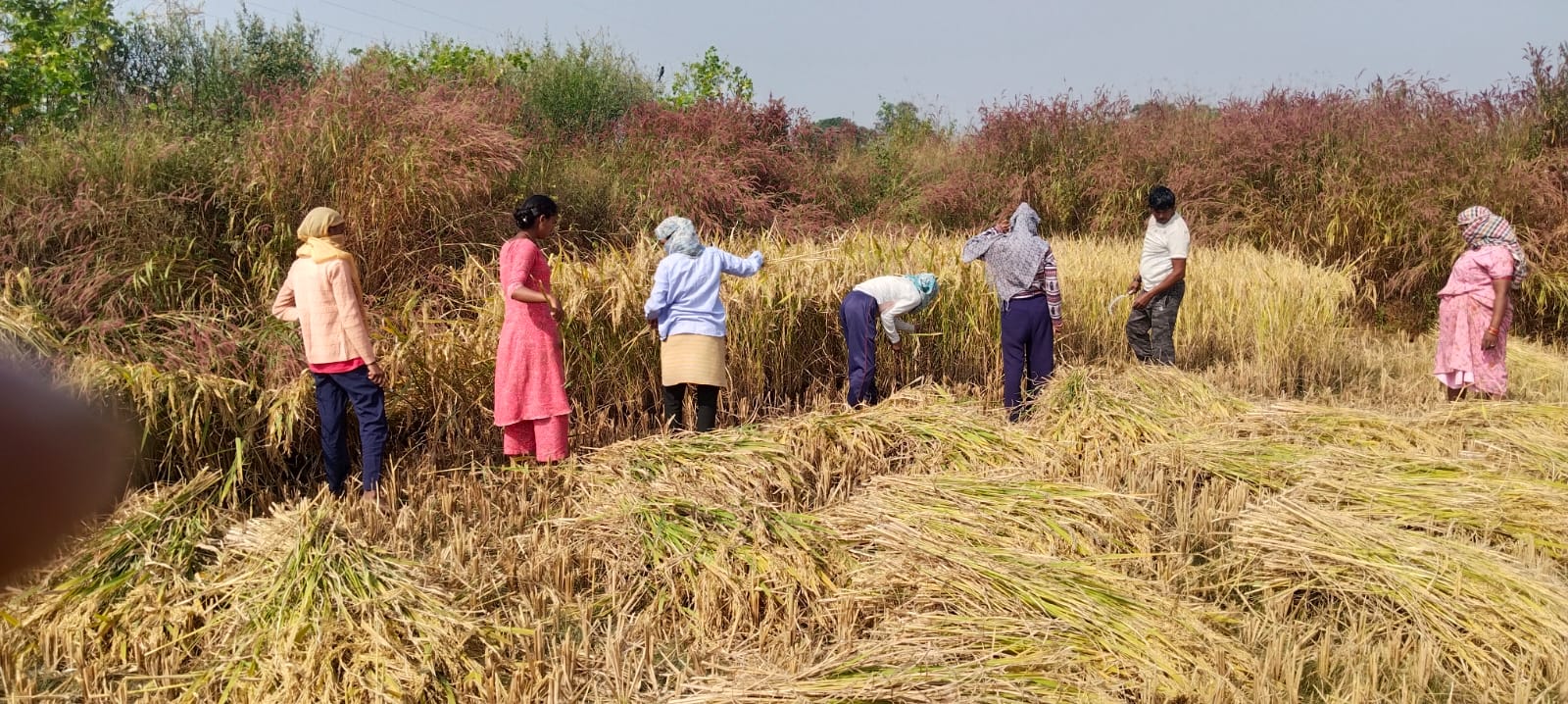 और जो महिला सम्मेलनों में भाग नहीं ले पाती हैं